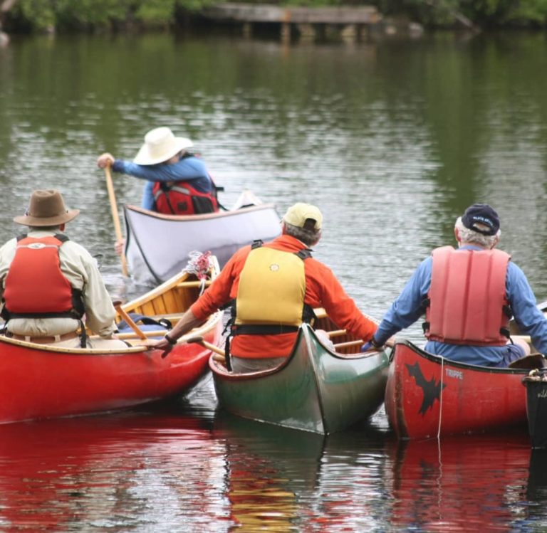 53712305 1028142980723371 6618422529030043553 n 768x749