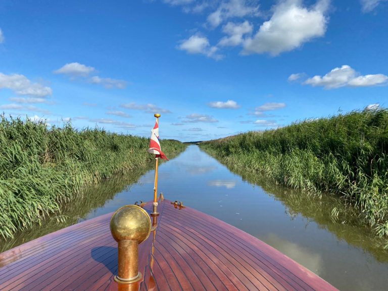 5EFBF63C CCFB 444D 91D9 DC0CA764665D 768x576