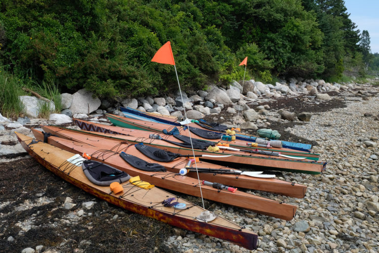 6 willows on island 768x512