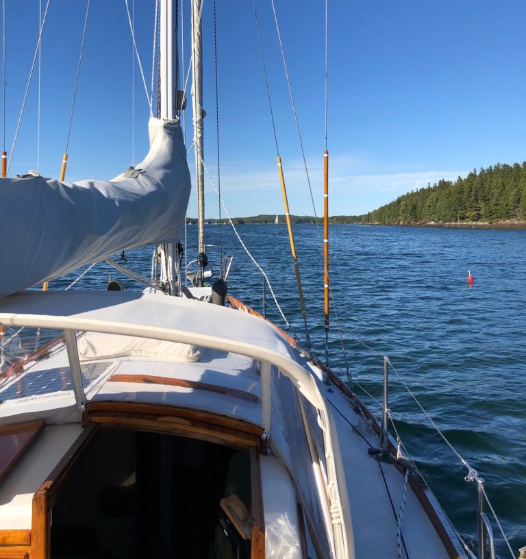 62163236680  5C0D442F 33DC 4D72 A159 B2E8506BFBF6 768x816