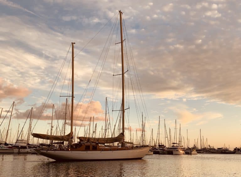 665DE428 0236 4D50 B9F3 377AB524A184 768x563