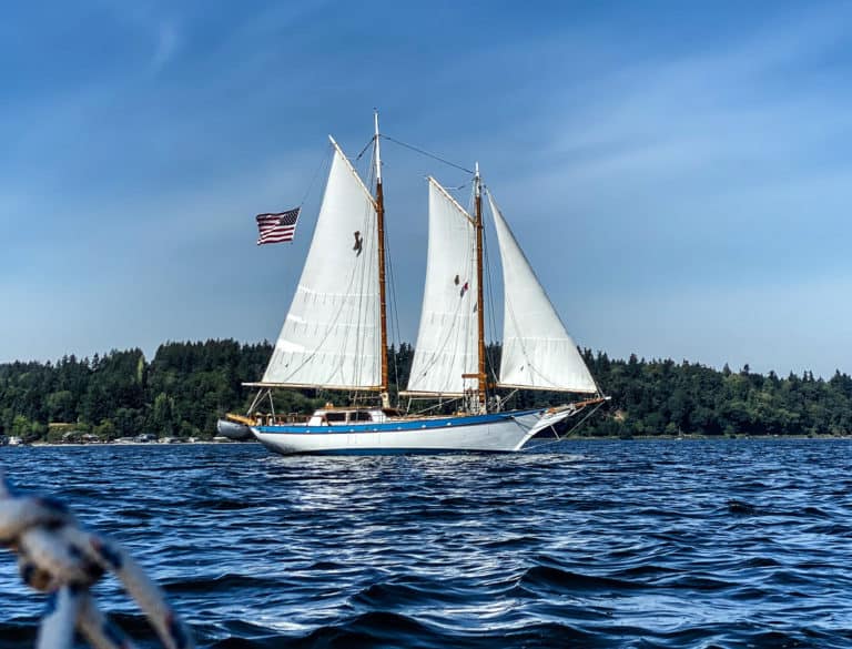 6B0B4E0A BADD 4C14 A358 8F96FC3B714B 768x585