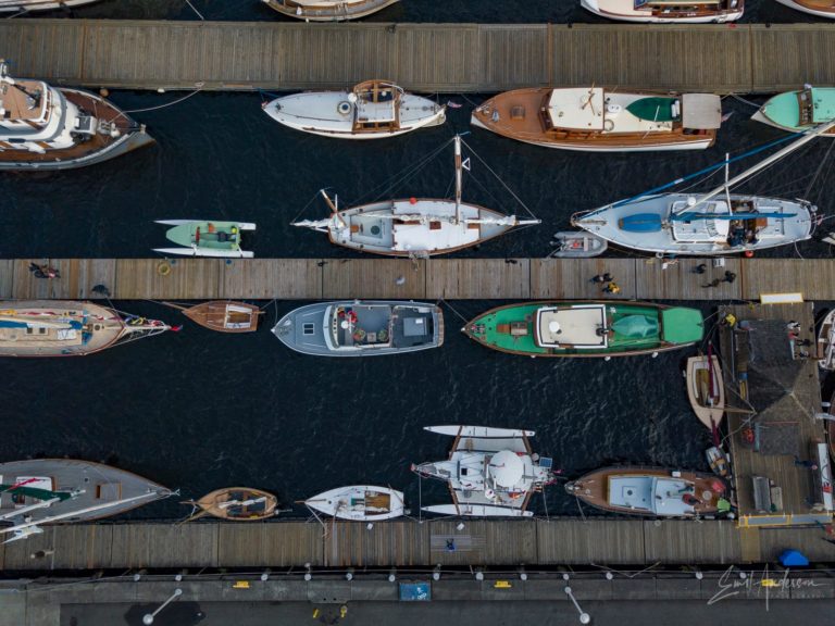 71641359 10156401485515685 8132663605976891392 o 768x576