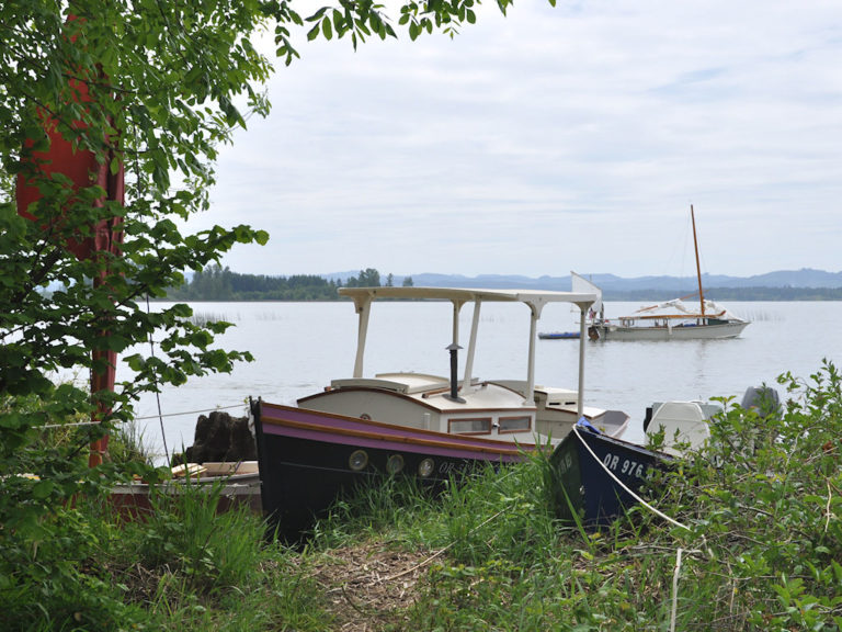 7260964194 2283103e31 o 768x576