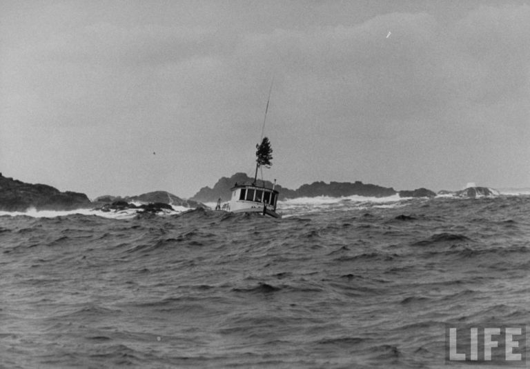 747cbbec92f928ad large 768x535