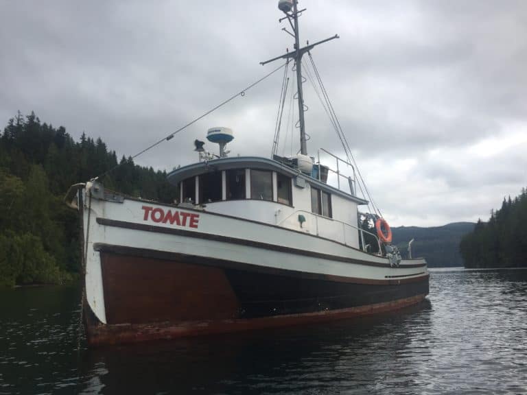 76FF249C 5944 4520 8CE7 F884F8985942 768x576