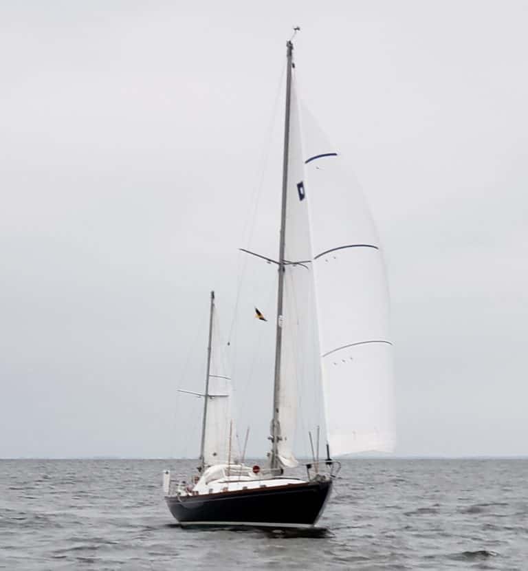 77CD7BCC 3240 425D A872 7D2B5CF9AF86 768x830