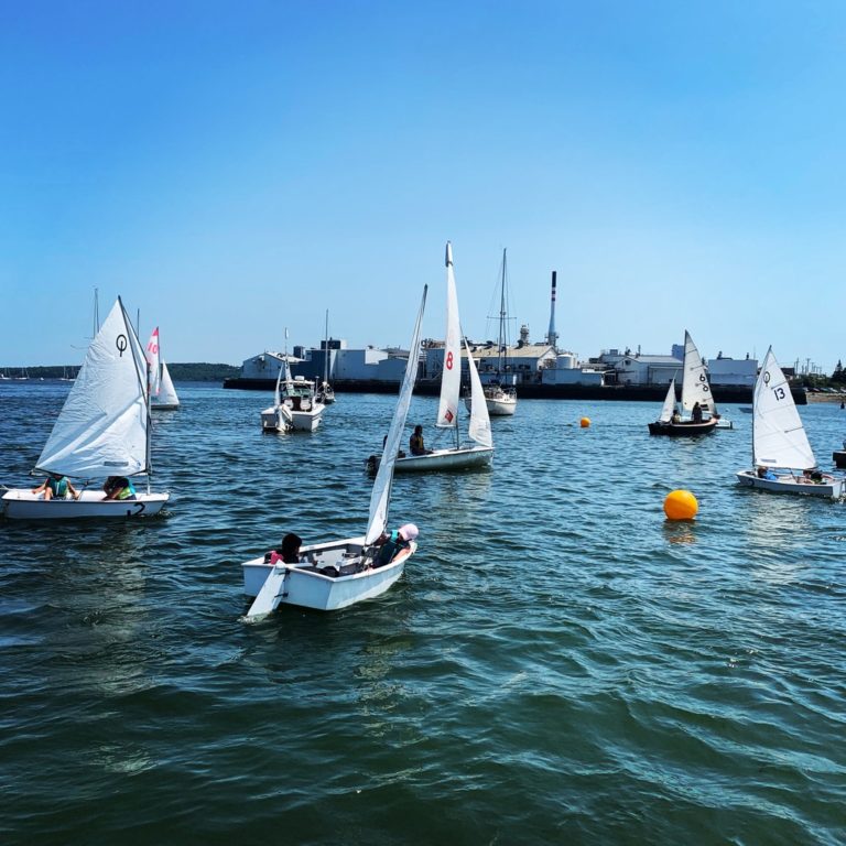 7C5B031C 1A2E 49BE 8DA8 BA3A3A6B1CD5 1 105 c 768x768