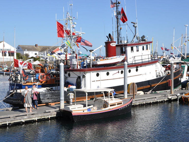 8316981684 91725e965b o 768x576