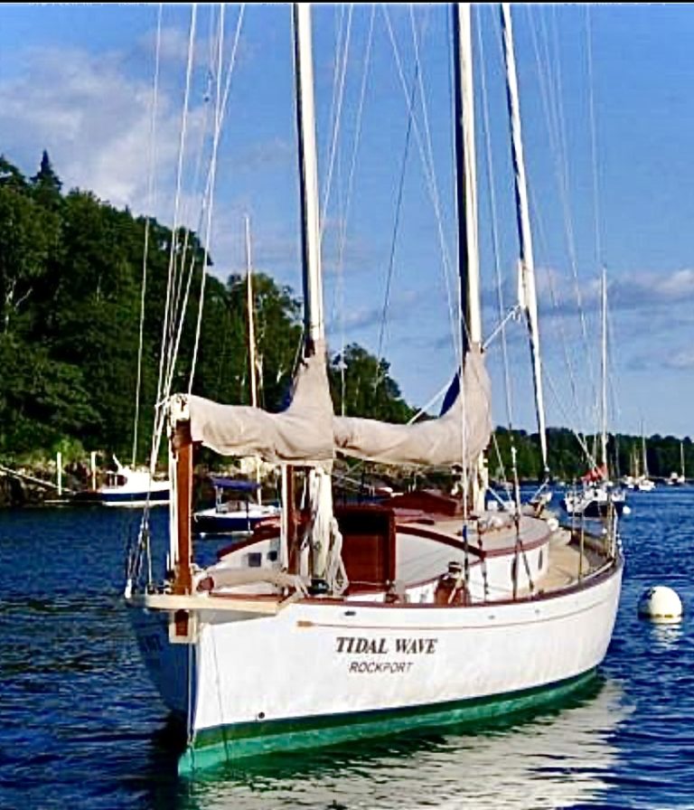 8AF39A4E FE52 40F2 B09E D8D97ED5DD6A 768x896