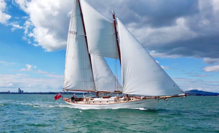 90471259 604952457019009 3649533350357499904 n 768x469