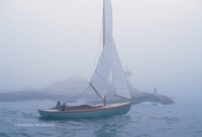 9513032 Curlew WWCBS 768x521