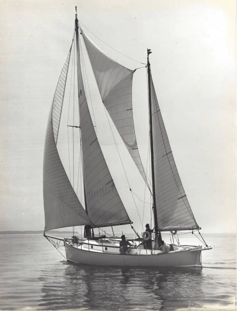 95384AAE 76B3 4FE6 872D D2E7DBE19567 768x1009