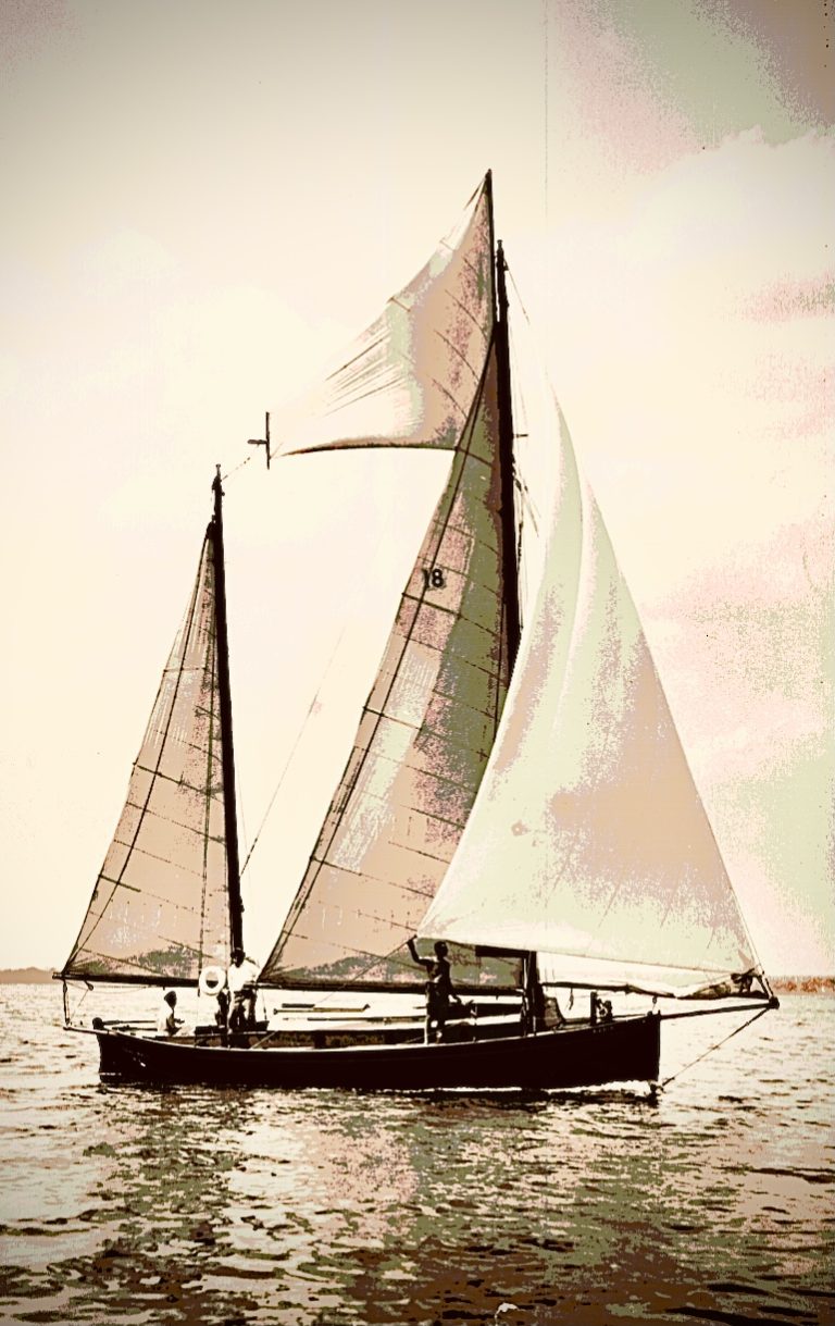 A290F8C9 E99E 48B1 9A78 306F45B90ED6 768x1219