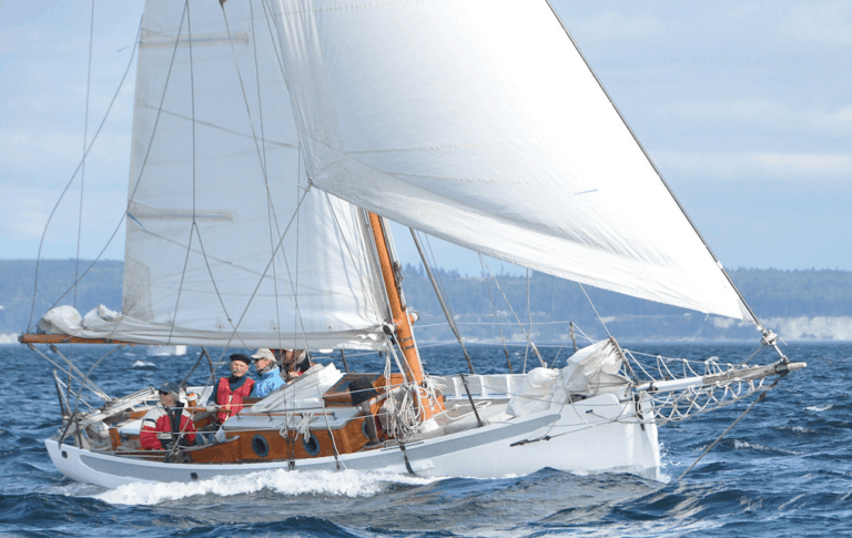 Able 2018 doible reef 768x485