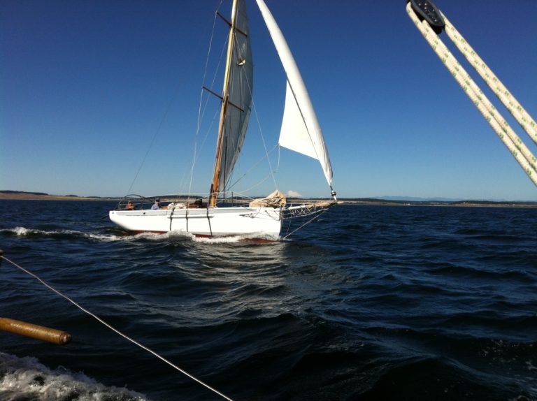 Able July 13 favorite 768x574