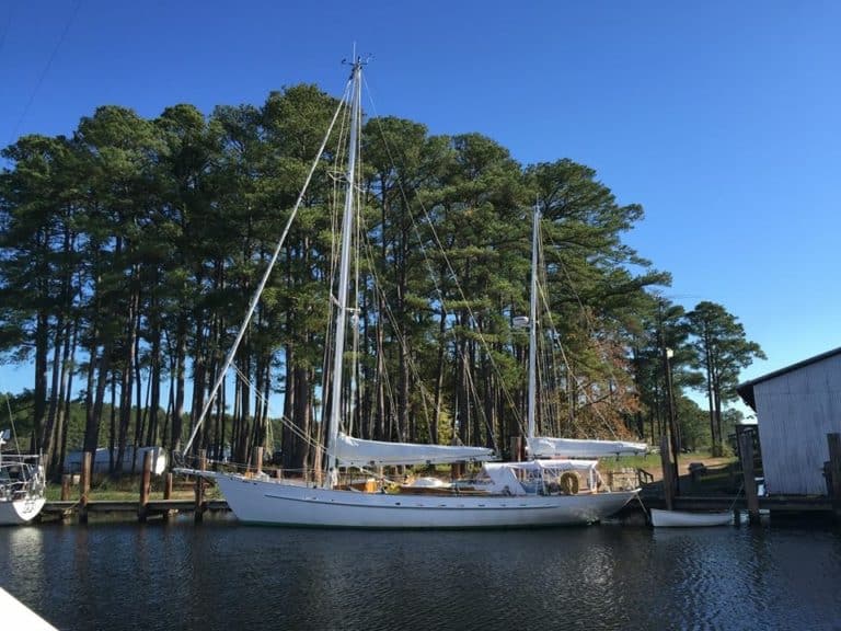 Arabella at AYB 2015 768x576