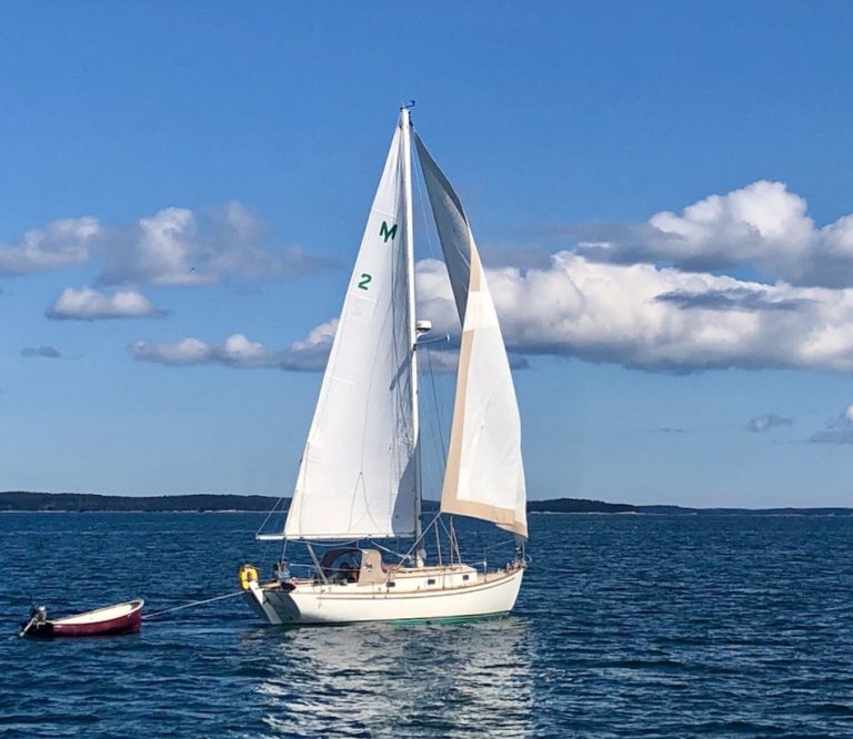 Artemis wing on wing 768x666