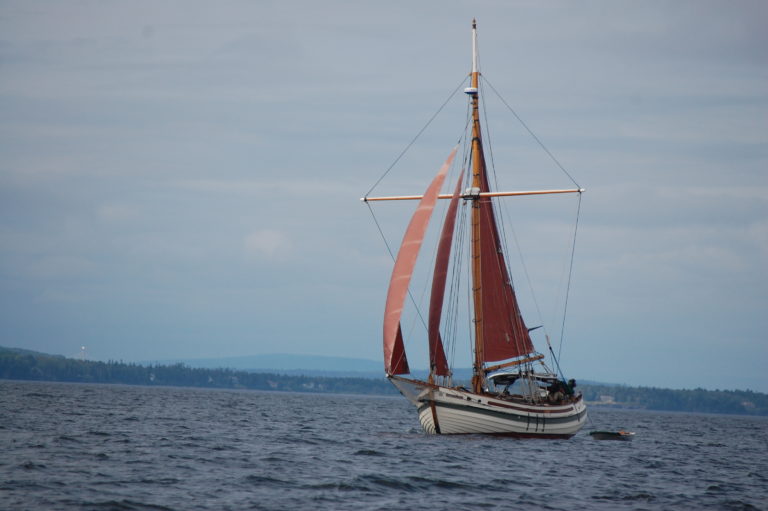 B0C5D648 C736 47D7 A0A2 E34F023ABDFB 768x511