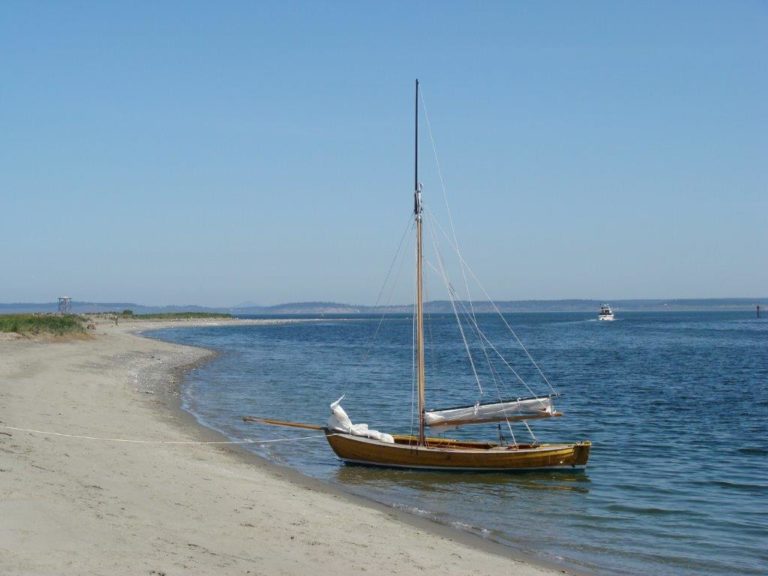 BCE6A8FC BAD7 47B8 9967 6E5002D2401E 768x576