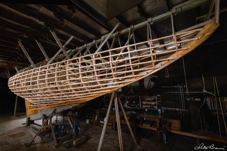 BRAUNE 140622 6796M 768x512