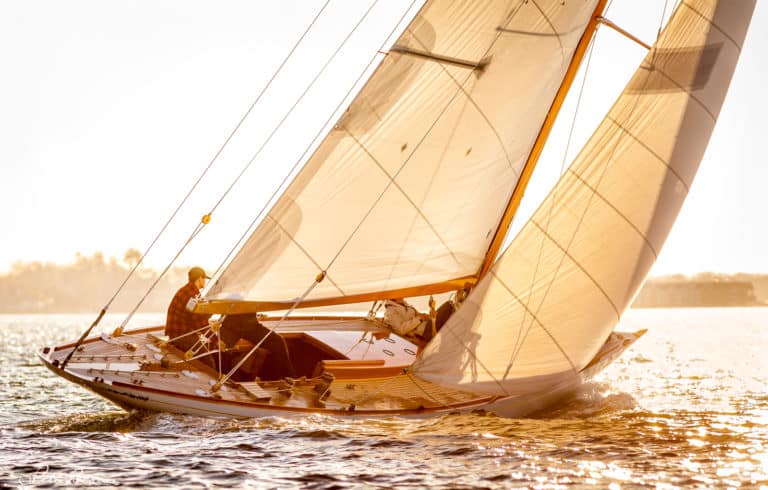 BRAUNE 151116 1686 768x490