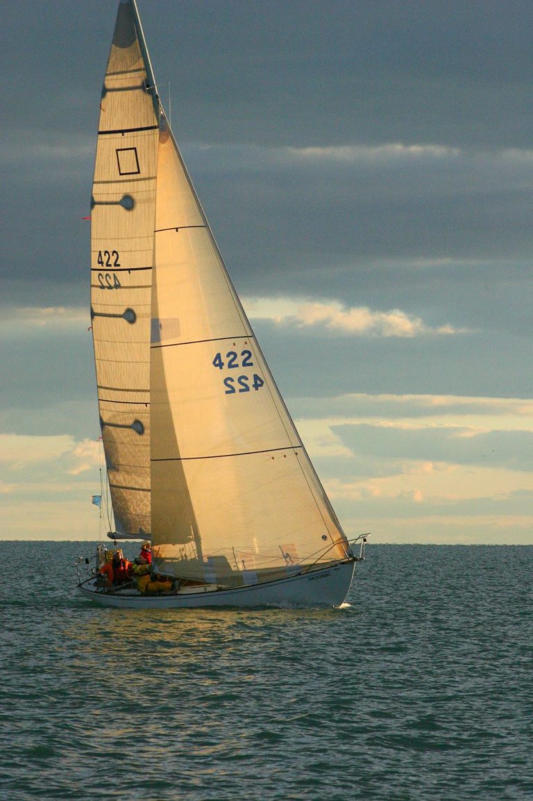 BYC LD 2007 resized 768x1153