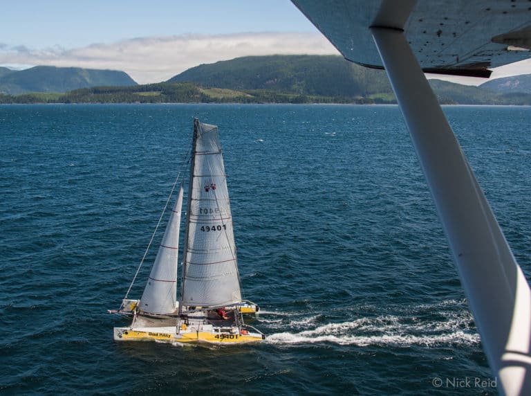 Bad Kitty Nick Reid 768x572