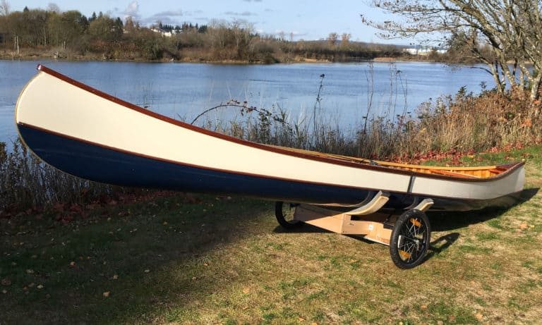 BeanOnCartCropped 1 768x461