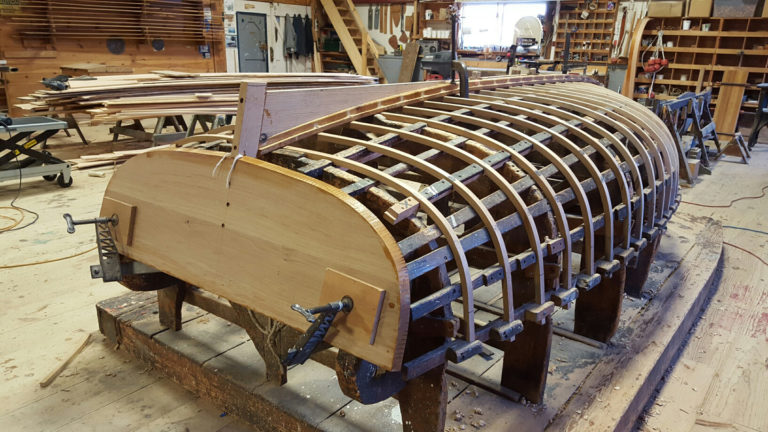 Beetle Cat Mold 768x432