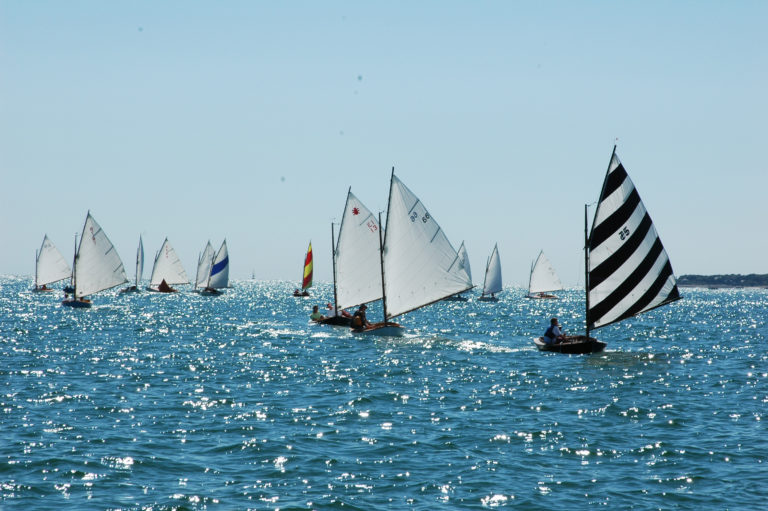 Beetle Cat Racing 768x511