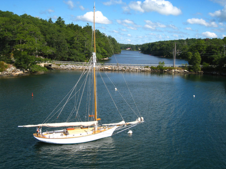 Black Star 2015 photo by jeff Fongemie 768x576