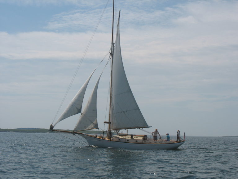 Black Star 2016 photo by Laurie Raymond 768x576