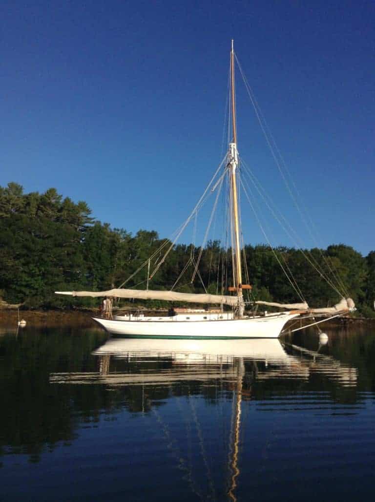 Black Star 2017 photo by Judy Heininger 768x1028