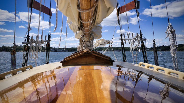 Black Star 2019 photo by Mike Dana 768x432