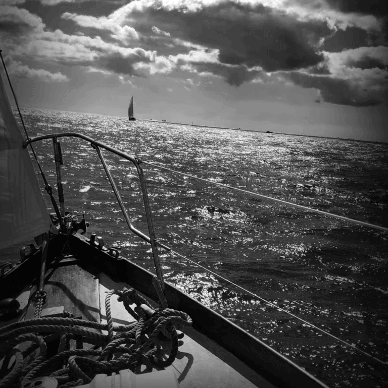 BnWBowGadwall 768x769