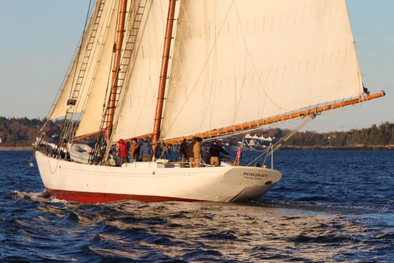 Bowdoin 6 copy 768x512