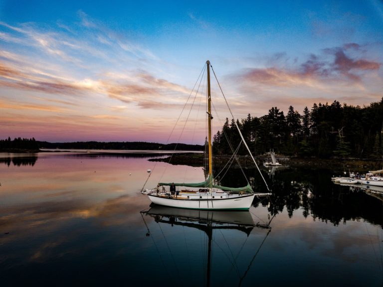 BriarPatch Drone 768x576