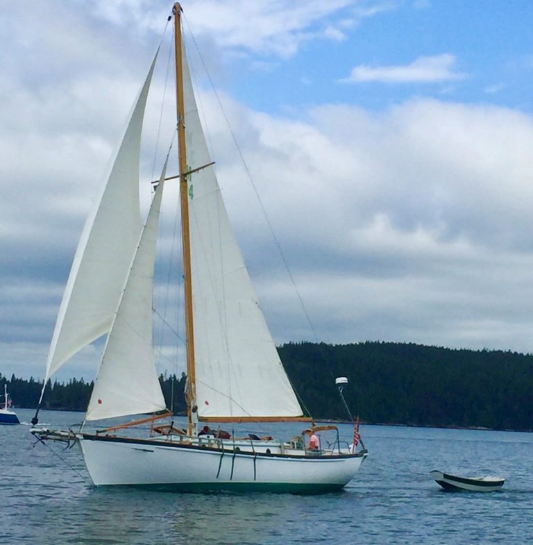 BriarPatch Working Sails 768x785