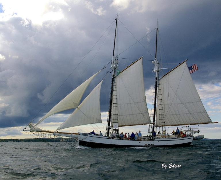 By Edgar 2 copy 2 3 768x627