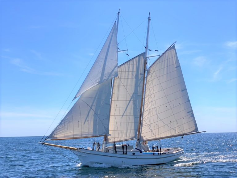 C8EA5B1F 3D06 4BDC 811E C773A7E2E9AC 1 105 c 768x576