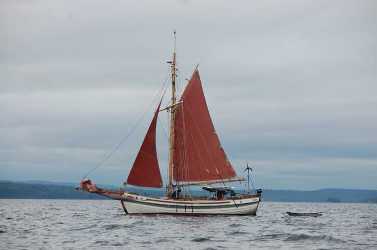 C9EF9507 D179 42D0 B448 06D499D7E801 768x511