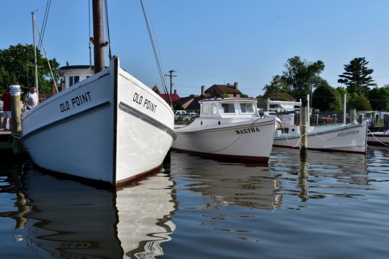 CBMM MaritimeDay FloatingFleet 768x512