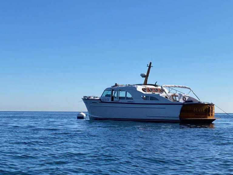 CF338638 18F4 4749 AE14 947886852330 768x576