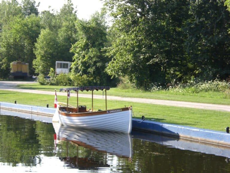 CIMG0714 Copy 768x576