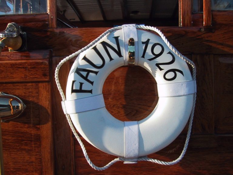 Camera Picture 5 768x576