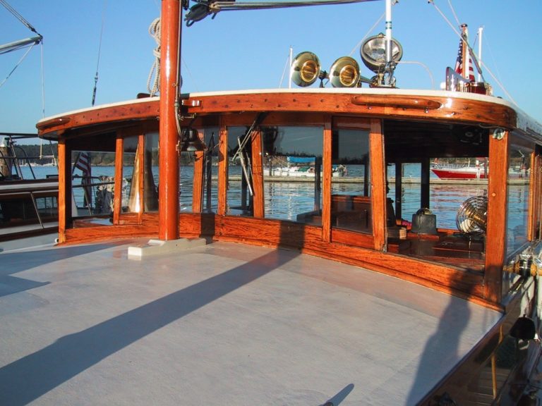 Camera Picture 8.1 768x576