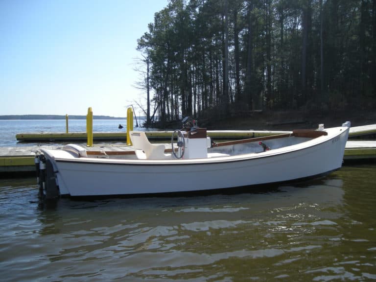 Cat and Redwing 027 2048x1536 copy 768x576