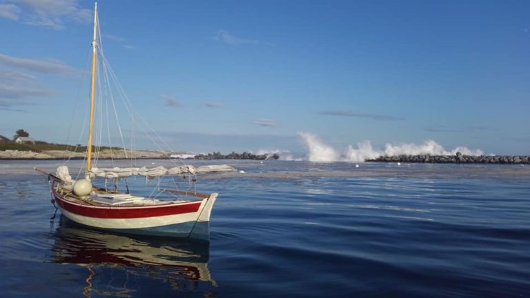 Centennial 7 768x432