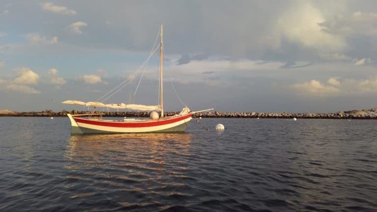 Centennial 8 768x432